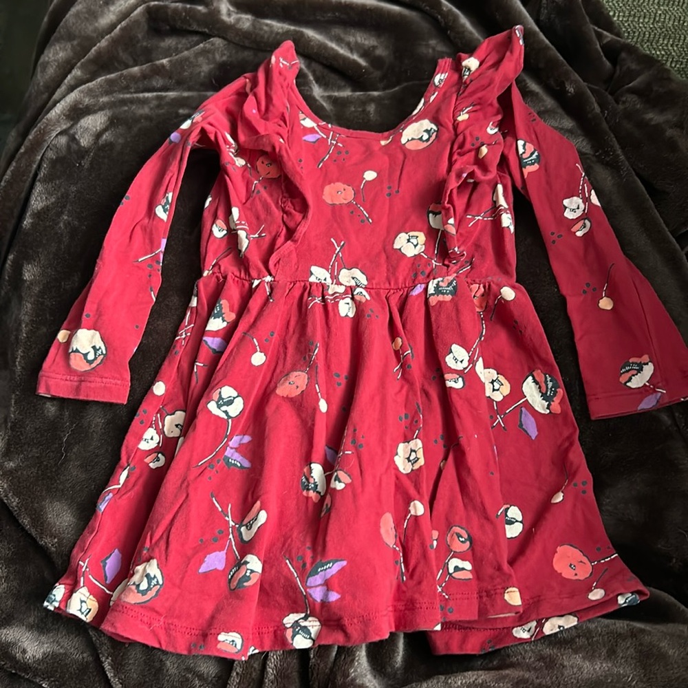 Tea Collection long sleeve 2t dress